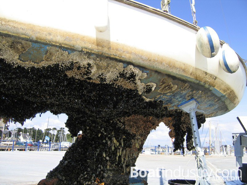 Photo Ncessit d'un Antifouling - 2